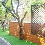 Porpora