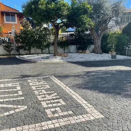 Porpora 4*