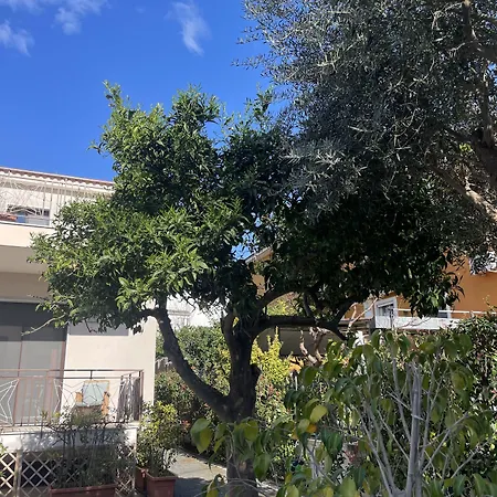 Porpora פומפיי